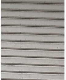 BOBO CHOSES | シャツ/ブラウス