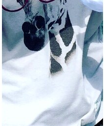 CIAOPANIC TYPY | Tシャツ/カットソー