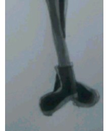 しまむら | ブーツ