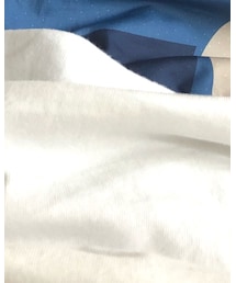 HANES | Tシャツ/カットソー