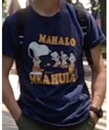 SUN SURF | Tシャツ/カットソー