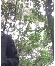 Alpha Industries | ダウンジャケット/コート