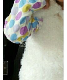 Petit jam | Tシャツ/カットソー