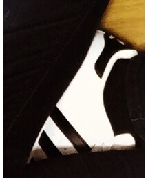 adidas | スニーカー