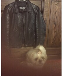 schott | ライダースジャケット