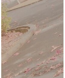 GORGE | ワンピース