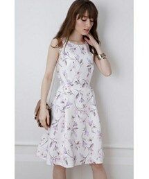 Apuweiser-riche | ワンピース