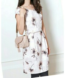 Apuweiser-riche | ワンピース