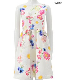 Chesty | ワンピース