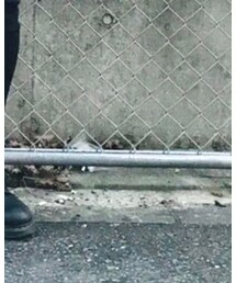 Dr. Martens | ドレスシューズ