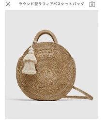 ZARA | かごバッグ