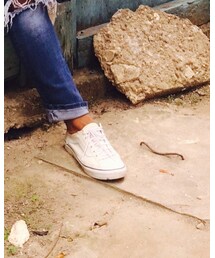 VANS | スリッポン