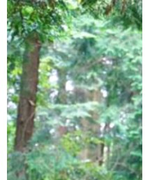 OSPREY | バックパック/リュック