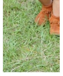 Minnetonka | ブーツ