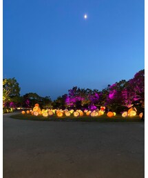 幻想庭園① | その他