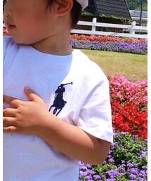 POLO RALPH LAUREN | Tシャツ/カットソー