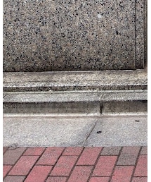 CHAN LUU | アンクレット