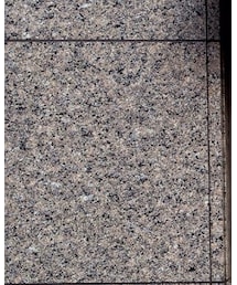 COACH | トートバッグ