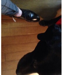 BEAMS LIGHTS Men's | スラックス