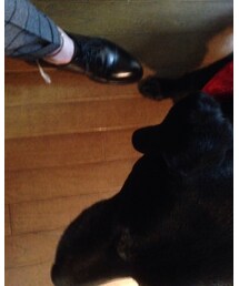 CHAN LUU | アンクレット