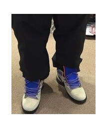 NIKE | NIKE / DUNK HIGH SB PREMIUM for AG / 10.5(スニーカー)