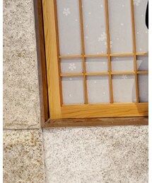 Radiate | トップス