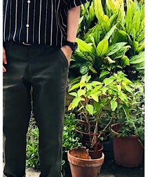 無印良品 | チノパンツ