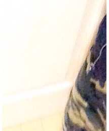 w closet | スカート