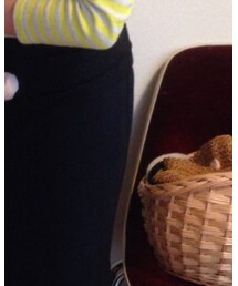 UNIQLO | スカート