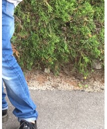 UNIQLO | デニムパンツ