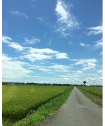 一本道🌾 | 窓開けて撮れば良かったw(福袋/福箱)
