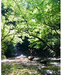 養老渓谷へ行ってきました。日記もあります🌼 | フィギュア