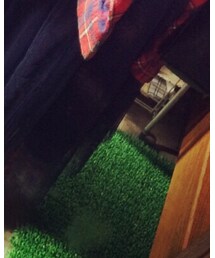 NICE CLAUP | スカート