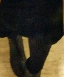 UNIQLO | タイツ/ストッキング