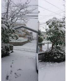 雪 | その他