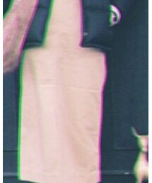 Dickies | スカート