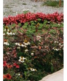 E hyphen world gallery | シャツ/ブラウス