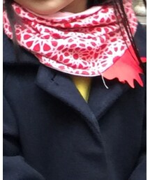 redurchin | その他