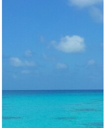 その他 | *(その他)