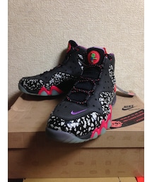 NIKE | BARKLEY POSITE MAX PREMIUM QS(スニーカー)