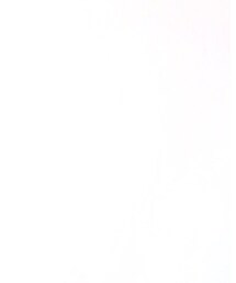 CHEVIGNON | シャツ/ブラウス