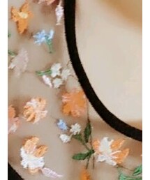 WEGO | 花柄トップス(トップス)