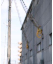 licht bestreben | Tシャツ/カットソー