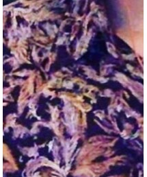 古着 | シャツ/ブラウス