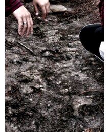 adidas | チノパンツ