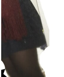 earth music&ecology | スカート