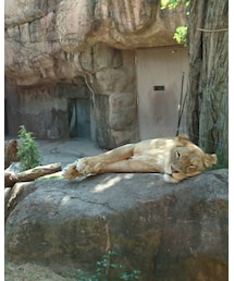 天王寺動物園 | その他