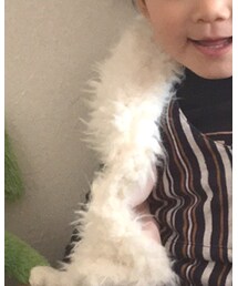 Birthday | その他アウター
