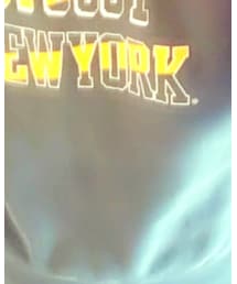 stussy× champion | スウェット