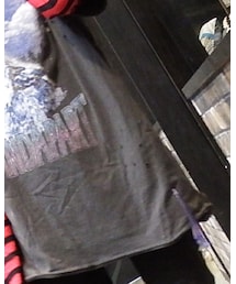 WEGO | Tシャツ/カットソー